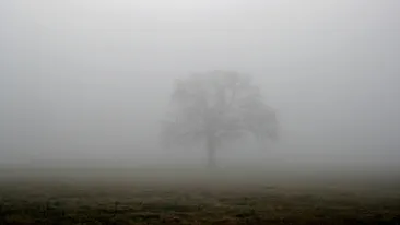 METEO 24 decembrie. Cum va fi vremea in ajun de Craciun!