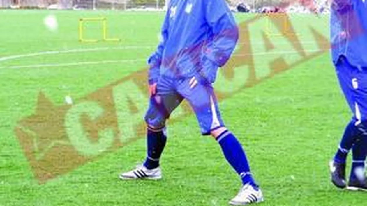 Piturca se plange de singuratate