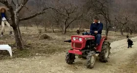 Galerie foto - poza 4