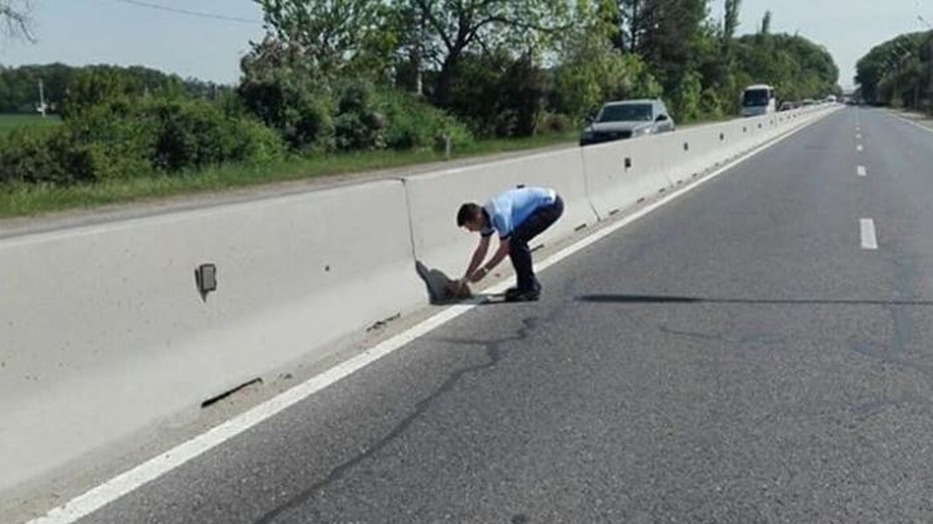 Imaginea care a devenit virală: Un polițist salvează o pisicuță de pe DN
