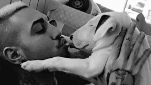 ALEX VELEA se asortează cu… bull terrierul familiei!