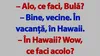 BANC | Bulă și vacanța în Hawaii
