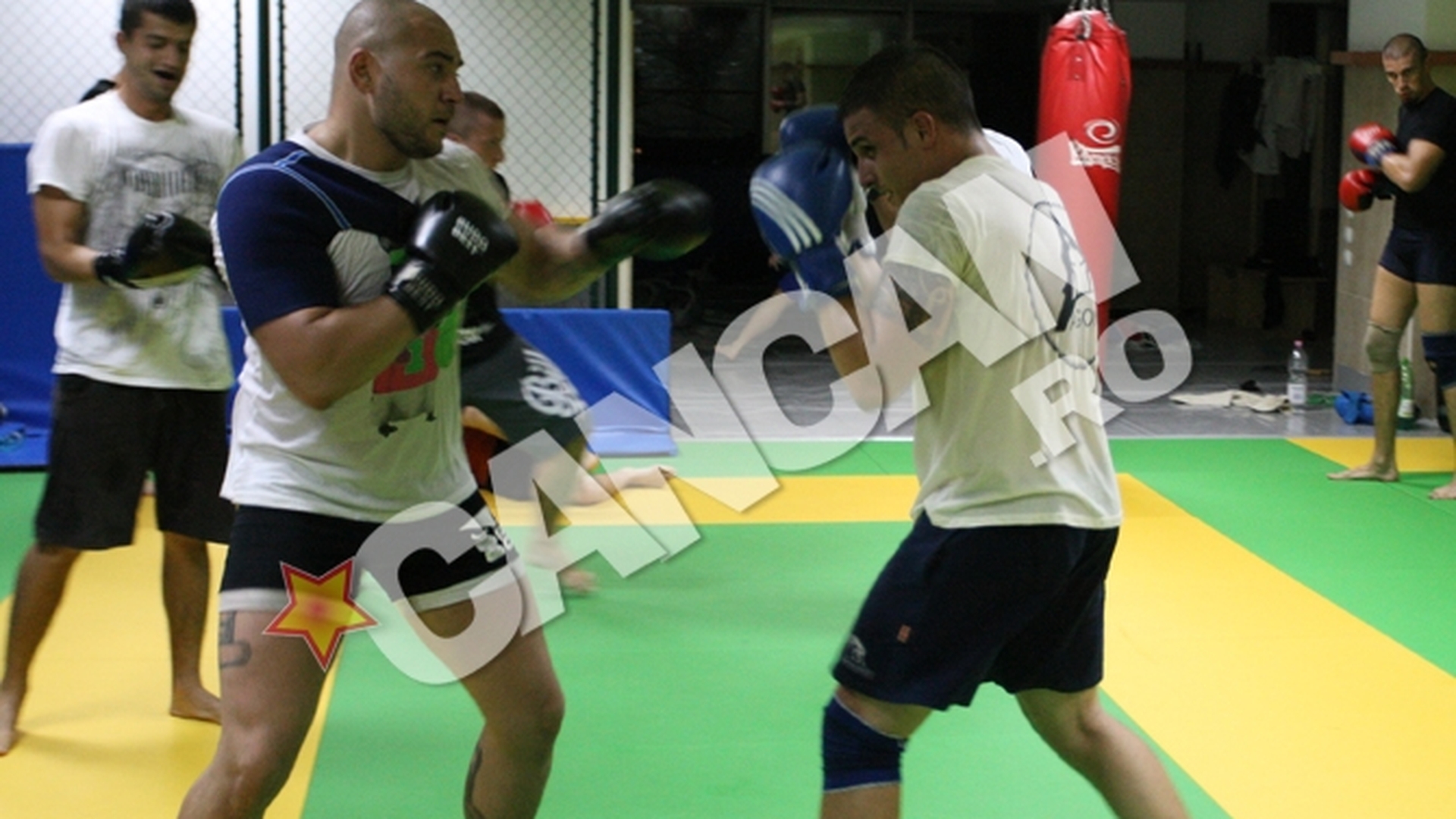 Fiul doctorului Ciomu se antreneaza cu "Ursul Carpatin" sa debuteze in MMA