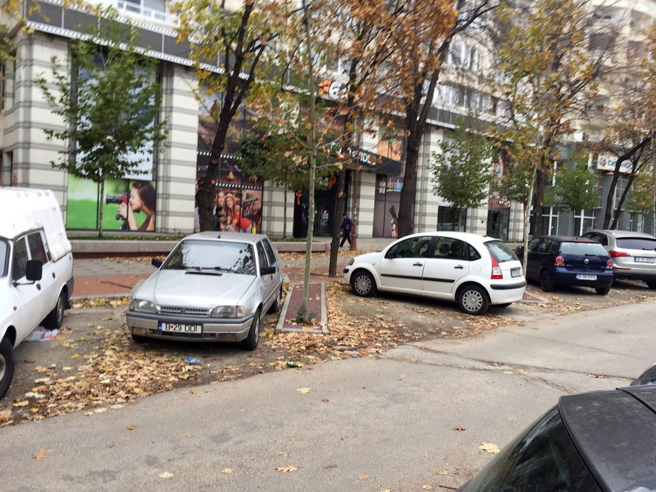 Tudy a fost cuprins de spirit civic în parcarea blocului său