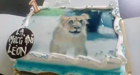 Galerie foto - poza 4