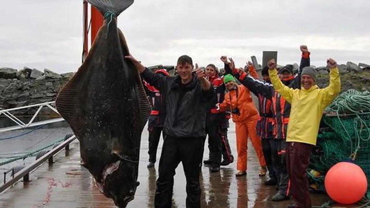 Pestele asta e de pe alta lume! Am crezut ca trag un submarin la suprafata! Uite ce monstru marin a prins