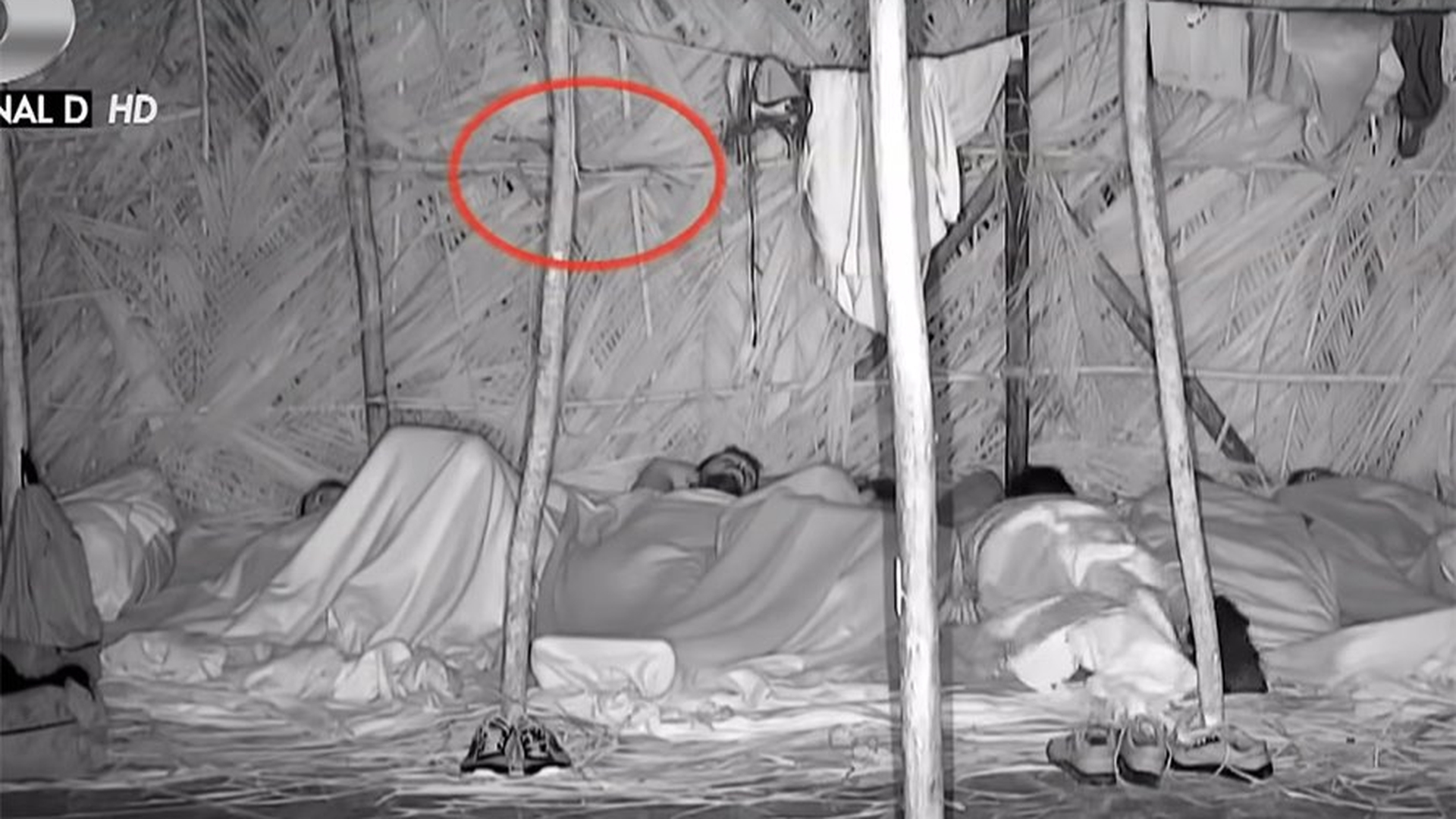 Detaliul șocant observat de telespectatori în episodul de aseară Survivor România de la Kanal D