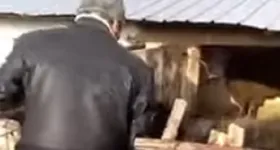 Galerie foto - poza 2