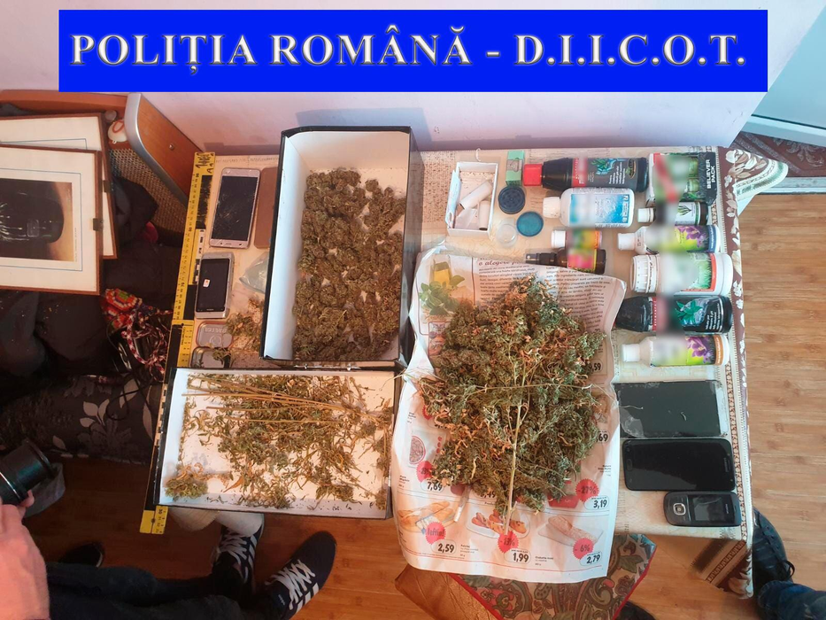 În urma perchezitiilor, polițiștii au ridicat 500 de grame de canabis, ustensile folosite la cultivare, cântare electronice, grindere pentru mărunțit canabisul, pastile ecstasy și ciuperci halucinogene