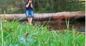 Galerie foto - poza 3