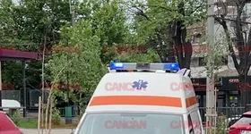 Galerie foto - poza 1