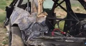 Galerie foto - poza 2