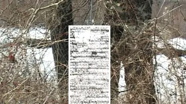 Un adolescent din Dâmbovița, găsit spânzurat în pădure! Detalii cutremurătoare