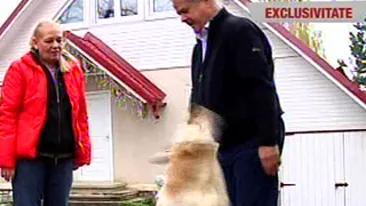 VIDEO Coltul de rai al lui Adrian Nastase! Vezi cum arata casa din Cornu, cum face tuica, cine e Aramis si ce gradina fabuloasa are!