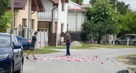 Galerie foto - poza 1