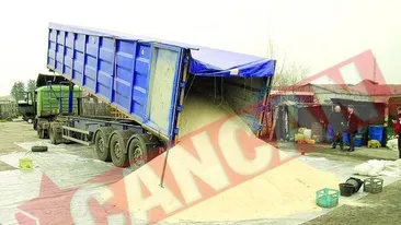 Gazda lui Piedone, acuzata de evaziune