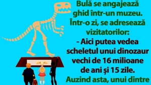 BANC | Bulă se angajează ghid într-un muzeu