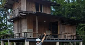 Galerie foto - poza 3