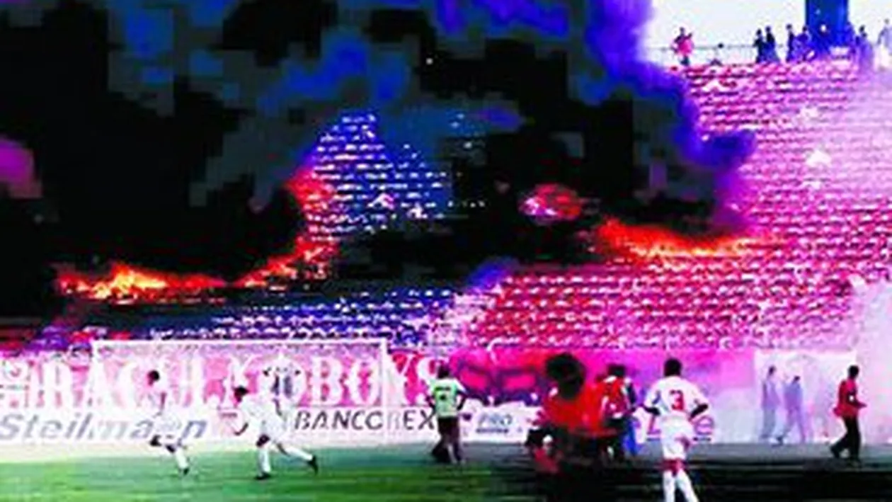 Calaul Stelei, invitat la petrecerea cainilor