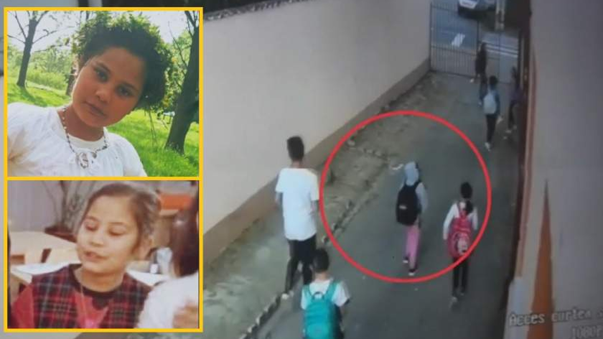 Criminalistul Tudorel Butoi, despre olandezul care ar fi ucis fetița de 11 ani din Dâmbovița: ”Neșansa acestui amețit este că acum avem cadavrul”