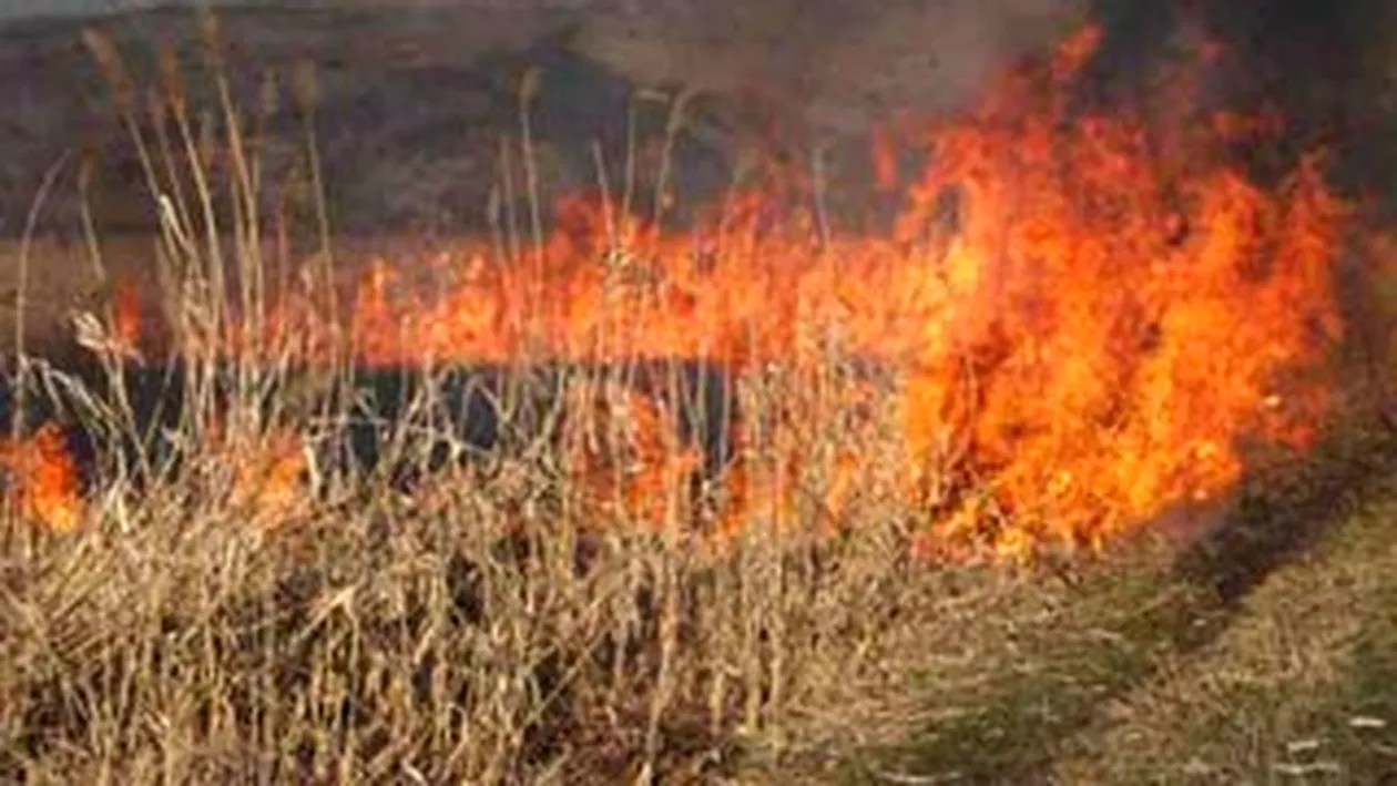 Peste 15 hectare de padure, cuprinse de un incendiu puternic, in Muntii Sureanu