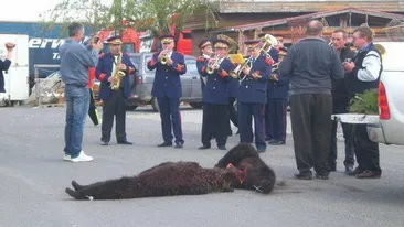 Se intampla in Romania! Imagini socante! A strans lumea ca la urs! A impuscat doua animale, iar apoi a chemat fanfara!