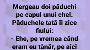 Bancul de weekend | Mergeau doi păduchi pe capul unui chel