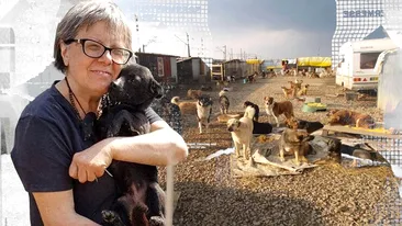 Ea este salvatoarea sutelor de câini din „Dumbrava Minunată”. Cine nu iubește animalele, nu iubește nici oamenii