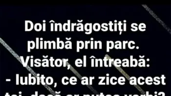 BANC | Doi îndrăgostiți se plimbă prin parc