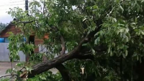 Vin vijeliile! Unde a fost emis CODUL PORTOCALIU!