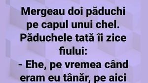 Bancul de weekend | Mergeau doi păduchi pe capul unui chel