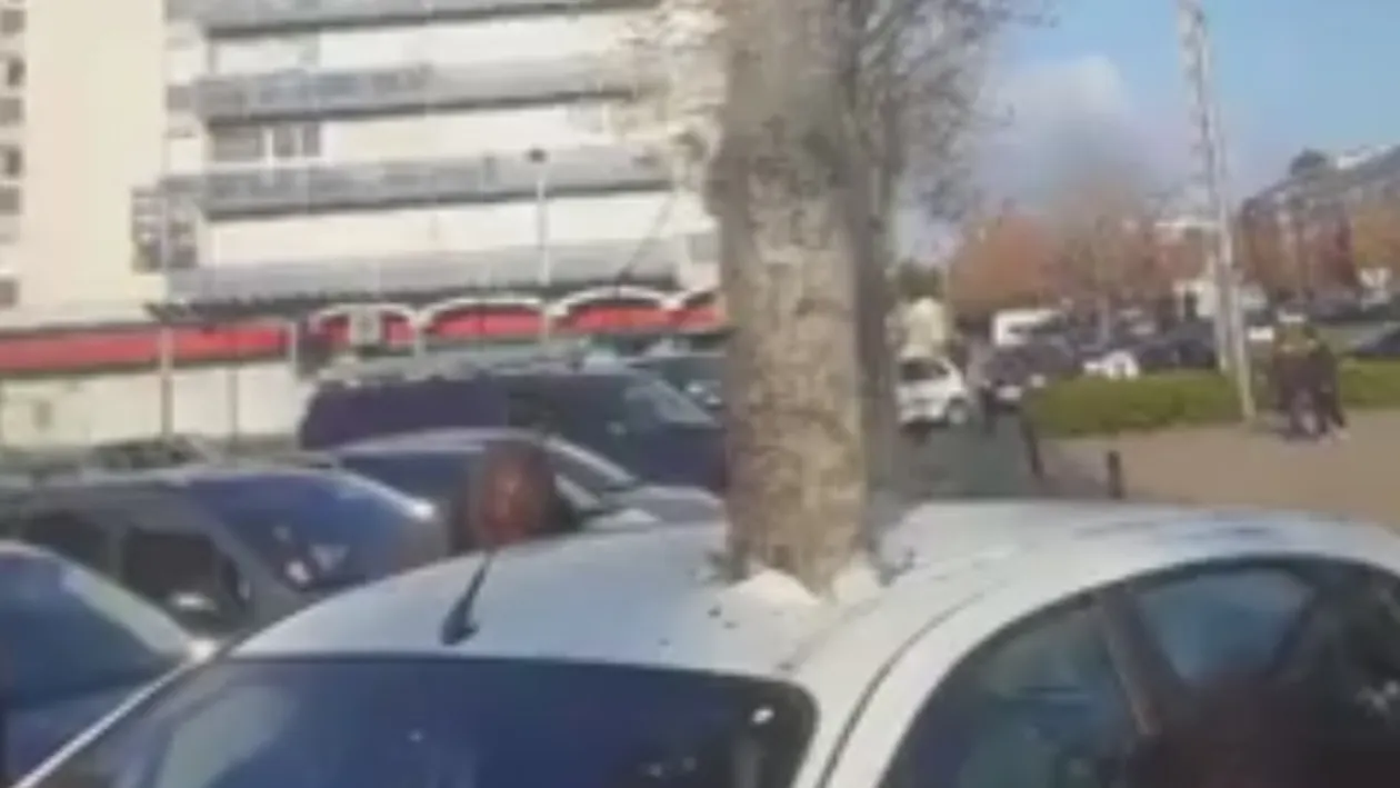 Povestea din spatele copacului crescut prin mijlocul unei maşini. Poate fi admirat într-un oraş din Franţa