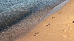Noul „mod” prin care se livrează comenzile la turiștii aflați pe plaja din Mamaia, după ce a fost lărgită: ”Mai bine foloseau dromaderi sau chiar cămile”
