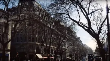 Iluzie optică virală | Doar 1 din 100 de oameni pot găsi câinele în această imagine