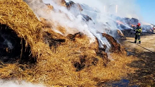 Incendiile de vegetație au pus pe jar pompierii din Dâmbovița. Acum se luptă cu focuri uriașe în mai multe localități