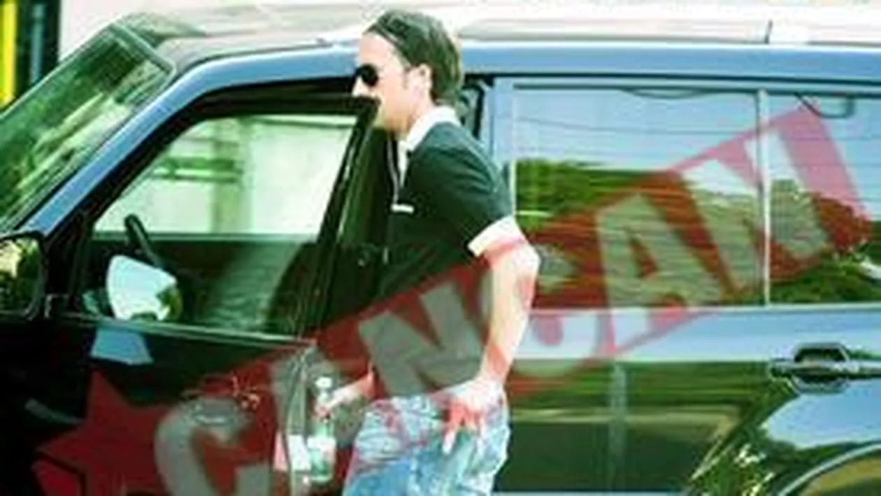 Meme Stoica, pericol public la volan