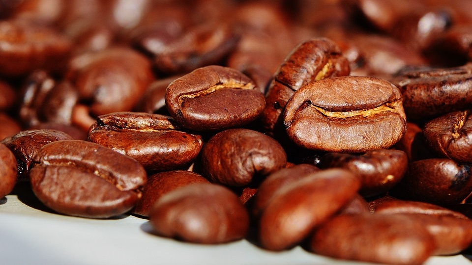 De ce e bine să pui boabe de cafea în frigiderul tău? Trucul bizar care are efecte nebănuite