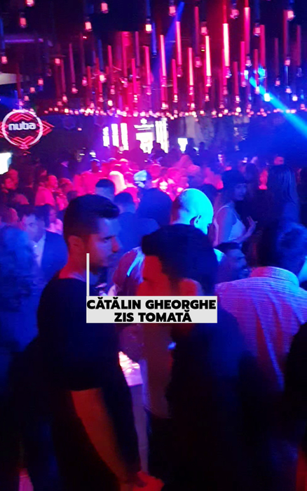"Tomată" reînvață să socializeze