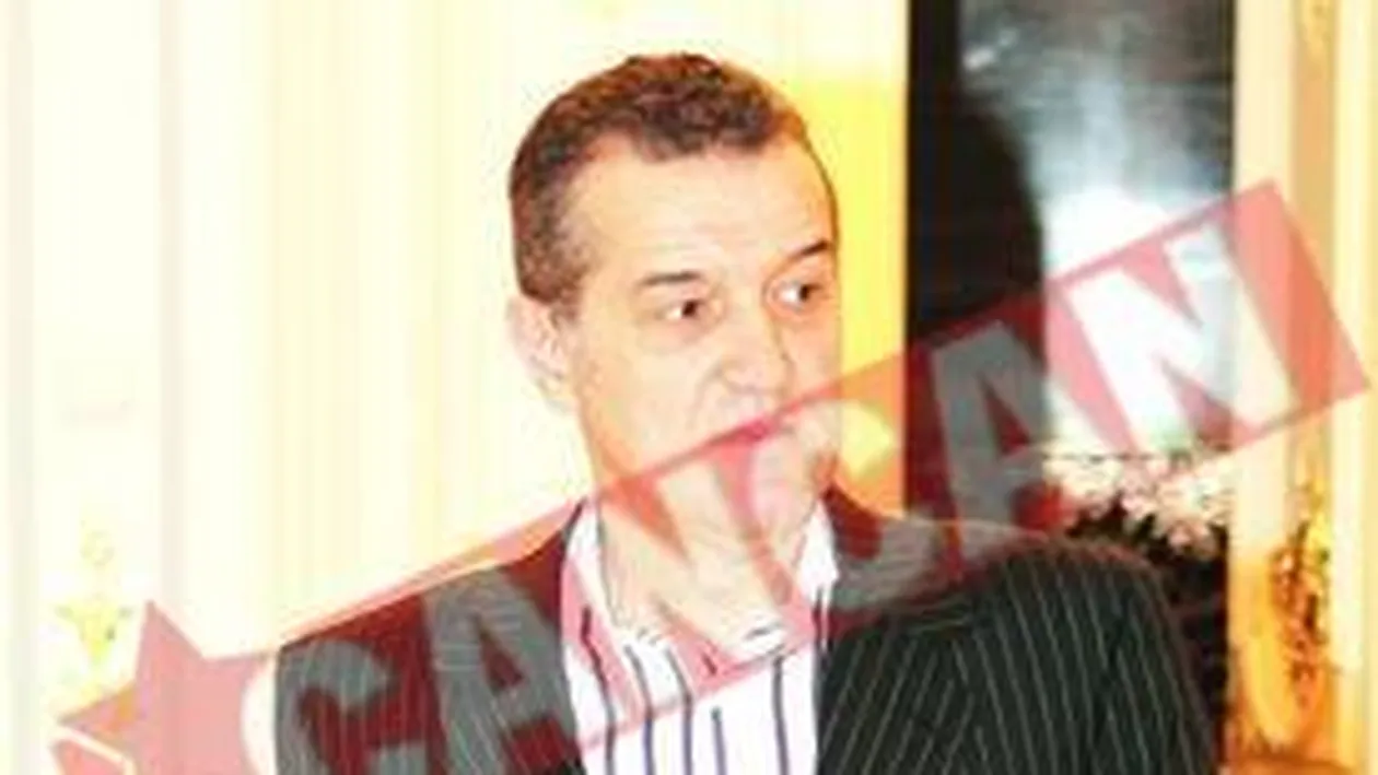 Mircea Sandu a cerut anchete in cazurile Gigi Becali si Chivorchian