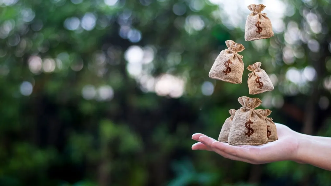 Curs valutar 4 iunie 2021: Cât valorează un euro și un dolar