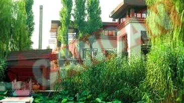 Ii cununa cel mai bogat roman