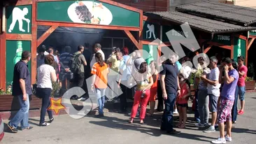 Razboiul micilor orgolii! Uite cum se inteapa Cocosatu si Gil in cea mai prolifica zi din an pentru gratarele lor!