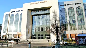 Un consilier din Olt si fratele acestuia, condamnat pentru evaziune fiscala, fac afaceri cu Tribunalul Bucuresti, Parchetul Capitalei si Primaria Sectorului 5! Milioane de euro din contracte cu statul