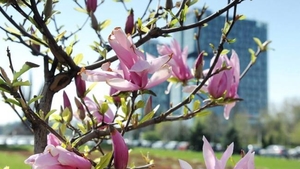 Cea mai caldă zi din istorie a fost astăzi. Temperaturi record joi, 12 aprilie!
