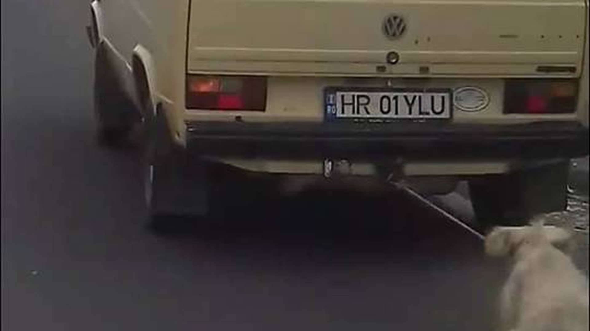 Un șofer din Harghita și-a legat câinele de mașină și la târât pe șosea! Imagini înfiorătoare