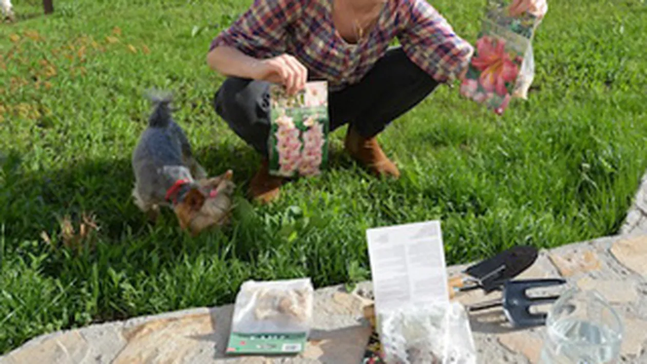 Laura Cosoi s-a apucat de gradinarit: M-am hotarat sa plantez cativa bulbi in gradina