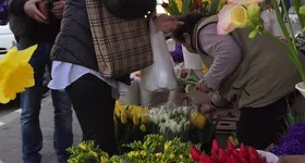 Galerie foto - poza 1