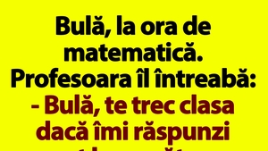 BANC | Bulă, la ora de matematică. Profesoara îl întreabă