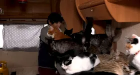 Galerie foto - poza 3