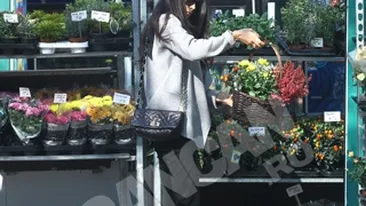 Anca Serea are o relatie profesionala excelenta cu fosta sotie a ex-premierului:  I-am dus flori Ioanei Tariceanu, pentru ca o respect enorm